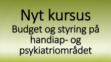 Budget og styring på handicap- og psykiatriområdet